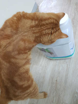 도라님이 올린 리뷰 사진 2