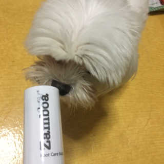 그래그래님이 올린 리뷰 사진 1
