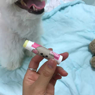더블리스풀독 샤이니 포우 버터 0.15oz [천연 발바닥 보호제] — 5점을 준 리뷰어가 2018년 7월 올린 사용 사진