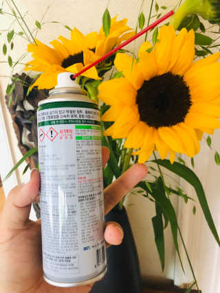 Blingyina님이 올린 리뷰 사진 1