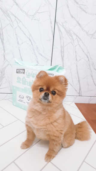YulaKim님이 올린 리뷰 사진 1
