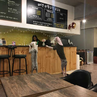 여은님이 올린 리뷰 사진 3