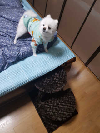 귤이님이 올린 리뷰 사진 2