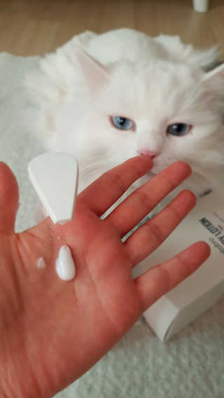 논지님이 올린 리뷰 사진 2