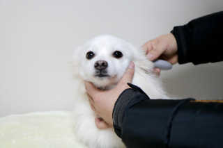 MIMI님이 올린 리뷰 사진 4