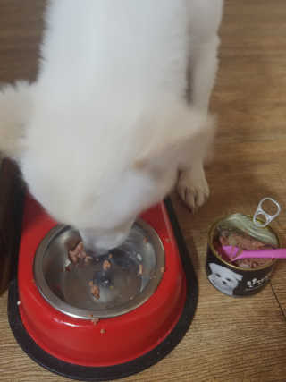 서희석님이 올린 리뷰 사진 2