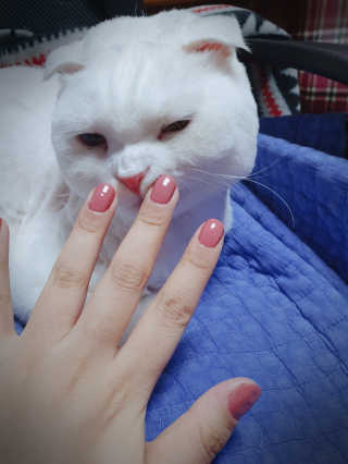 좋아님이 올린 리뷰 사진 1