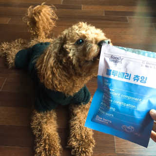 푸디웜 주식회사 [푸디웜] 강아지 저알러지 수제간식 3종세트 — 4.5점을 준 리뷰어가 2019년 2월 올린 사용 사진
