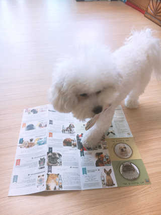 sooing님이 올린 리뷰 사진 4