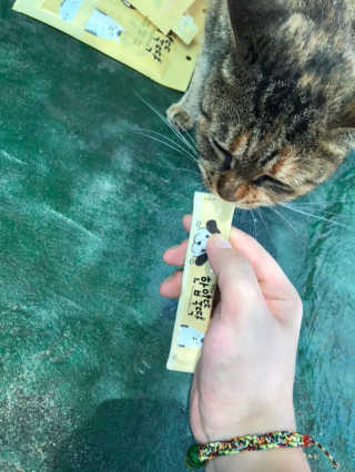 [펫토리아]짜먹는 한입뚝딱 강아지.고양이 마약간식 — 5점을 준 리뷰어가 2019년 8월 올린 사용 사진