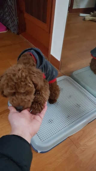 미세쓰킴님이 올린 리뷰 사진 3