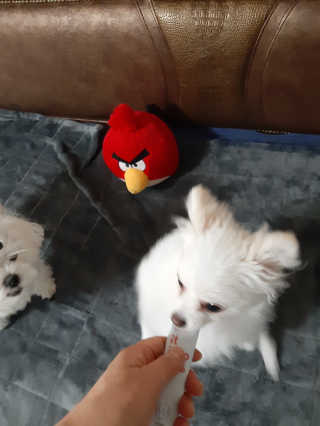 부산댁님이 올린 리뷰 사진 2