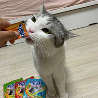 나니님이 올린 리뷰 사진 3