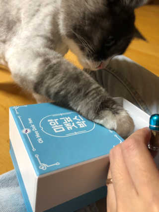 berryjjung님이 올린 리뷰 사진 1
