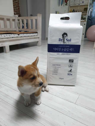 뿐뿐이님이 올린 리뷰 사진 3
