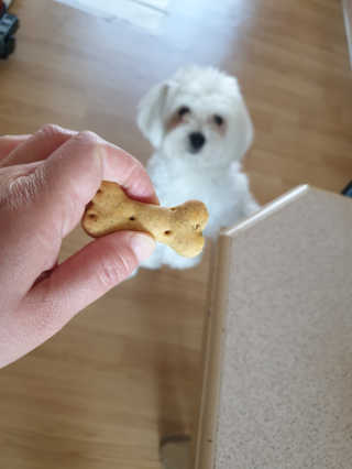 삐랭이님이 올린 리뷰 사진 4