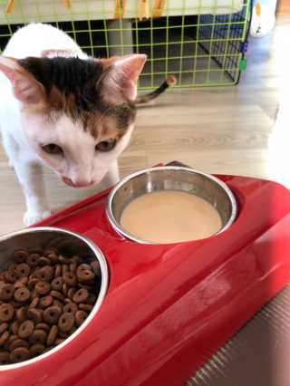 됴이님이 올린 리뷰 사진 4