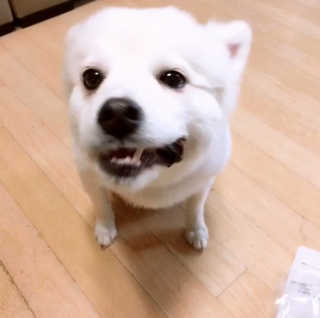 누리님이 올린 리뷰 사진 2