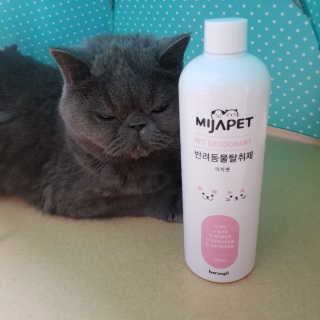 제트님이 올린 리뷰 사진 1