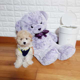 민동2님이 올린 리뷰 사진 1
