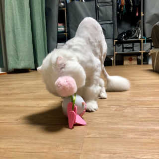 지연님이 올린 리뷰 사진 3