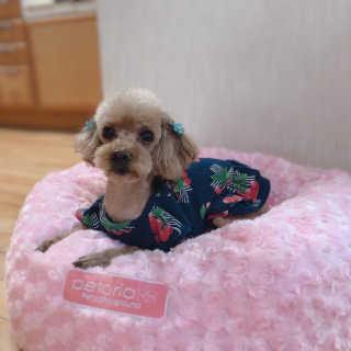 예니님이 올린 리뷰 사진 1