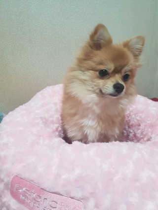 tmvksl5님이 올린 리뷰 사진 2