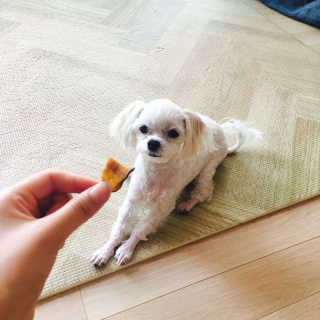 손한솔님이 올린 리뷰 사진 3