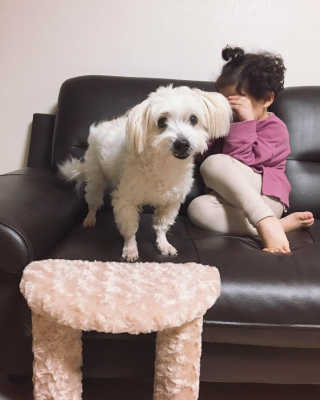 아이린지니님이 올린 리뷰 사진 1