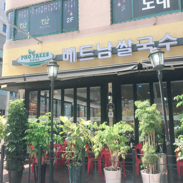 [포트리스베트남쌀국수] 쌀국수+볶음밥+월남쌈 set 리뷰 사진