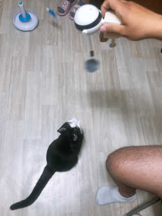 yooni님이 올린 리뷰 사진 3