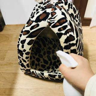 song다슬님이 올린 리뷰 사진 2