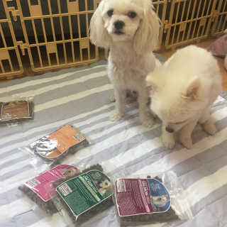 가닝님이 올린 리뷰 사진 4