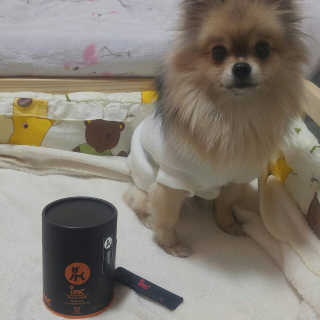 Ariel님이 올린 리뷰 사진 2