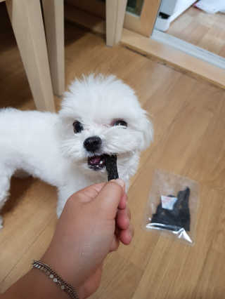 지뿡님이 올린 리뷰 사진 4