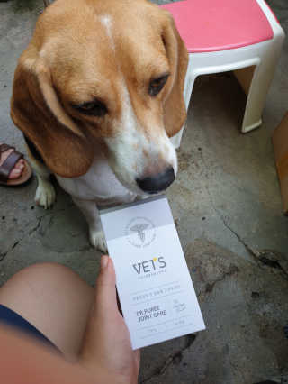 beaglelove님이 올린 리뷰 사진 1