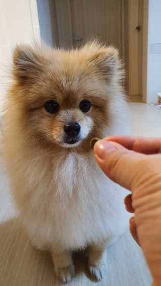 공삼님이 올린 리뷰 사진 1