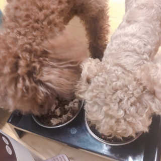 ye0229님이 올린 리뷰 사진 2