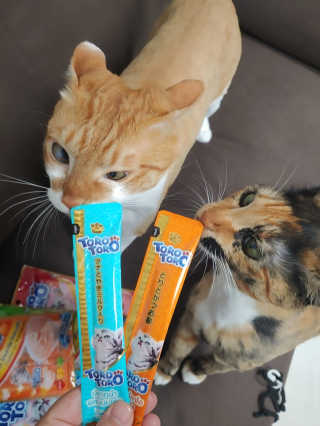 오나오나님이 올린 리뷰 사진 1