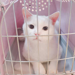 정혜님이 올린 리뷰 사진 2