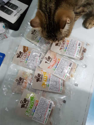 SangKiSon님이 올린 리뷰 사진 1