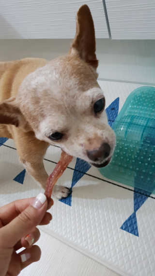 유진오님이 올린 리뷰 사진 3