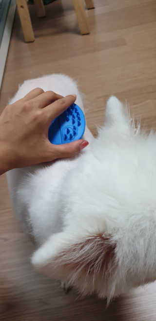 iy1129님이 올린 리뷰 사진 3