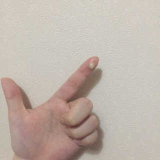연토리님이 올린 리뷰 사진 3