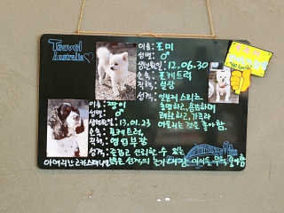 어궈대님이 올린 리뷰 사진 4