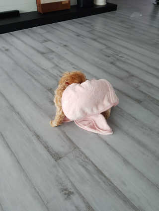 큐티윤님이 올린 리뷰 사진 1