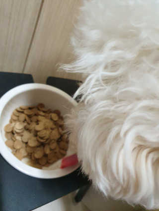 heeee님이 올린 리뷰 사진 4