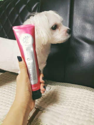 예롱님이 올린 리뷰 사진 1