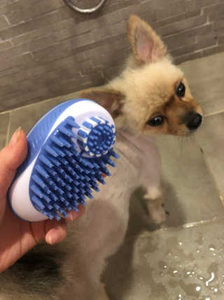 제로제로님이 올린 리뷰 사진 1