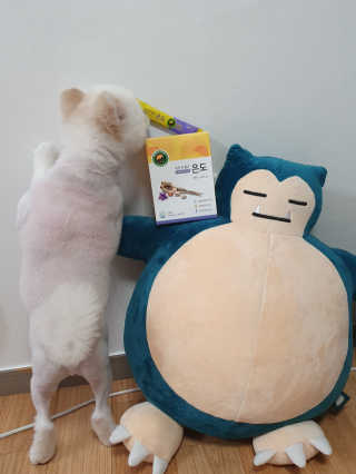 현이님이 올린 리뷰 사진 3